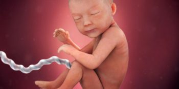 Quá Trình Phát Triển Của Thai Nhi 30 Tuần Tuổi Chi Tiết Update 09/2025