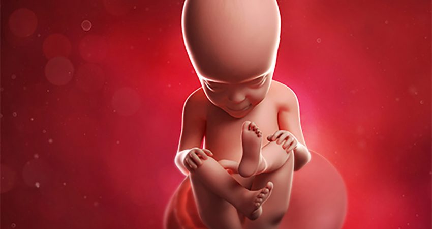 Quá Trình Phát Triển Của Thai Nhi 36 Tuần Tuổi Chi Tiết Update 05/2025