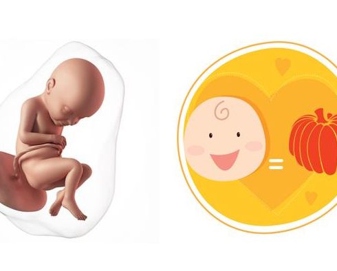 Mách Bạn 5 Dấu Hiệu Có Thai Sau 3 Tuần Cực Chính Xác Update 09/2025