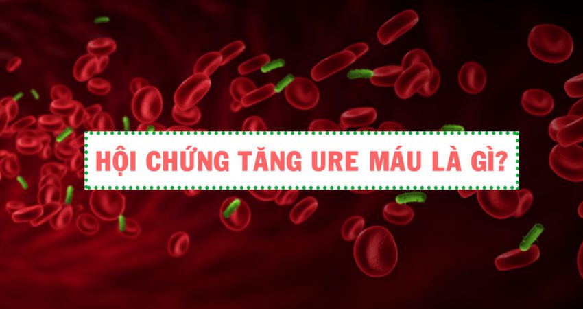 Hội Chứng Urê Huyết Tán Huyết: Nguyên Nhân, Triệu Chứng Update 03/2025